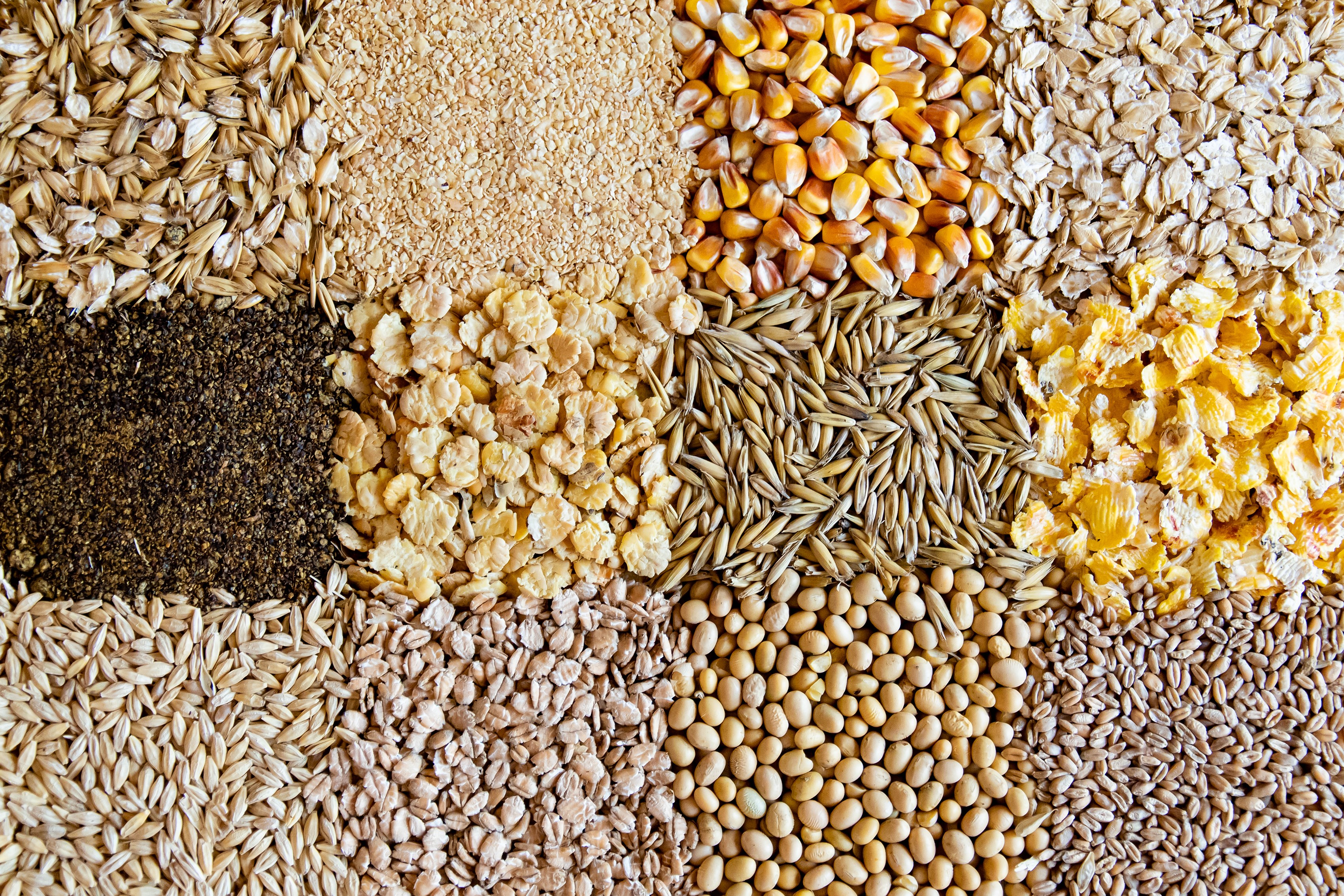 DSC 3084 AB Agri 3400RT